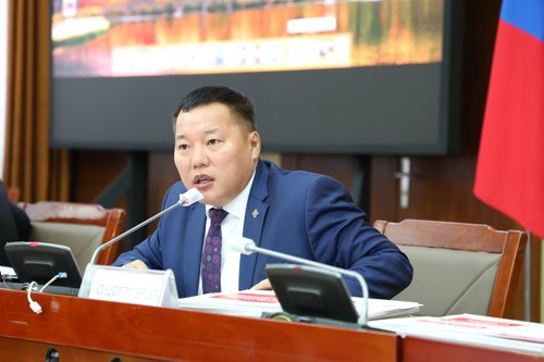 АН: Эрх баригчид зөвхөн хот хөдөөгийн хөгжил дээр 207 зүйл амласан